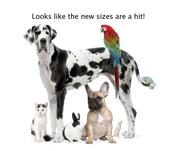 newSizes